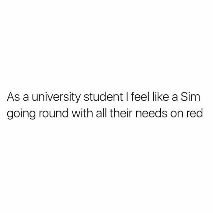 Student-University-Life-Memes