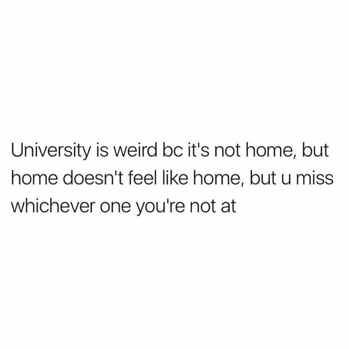 Student-University-Life-Memes