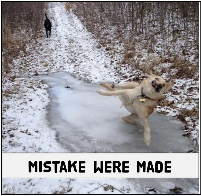 When Winter Tries To Kill You