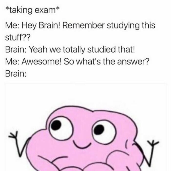 Student-University-Life-Memes