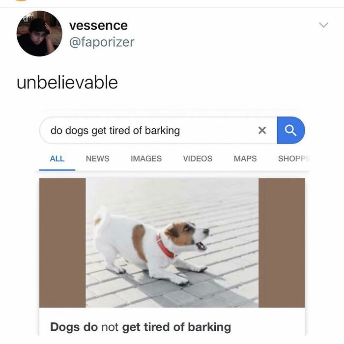 Y The Hell Haven’t U Followed @kalesalad Yet For Wholesome Memes!!!