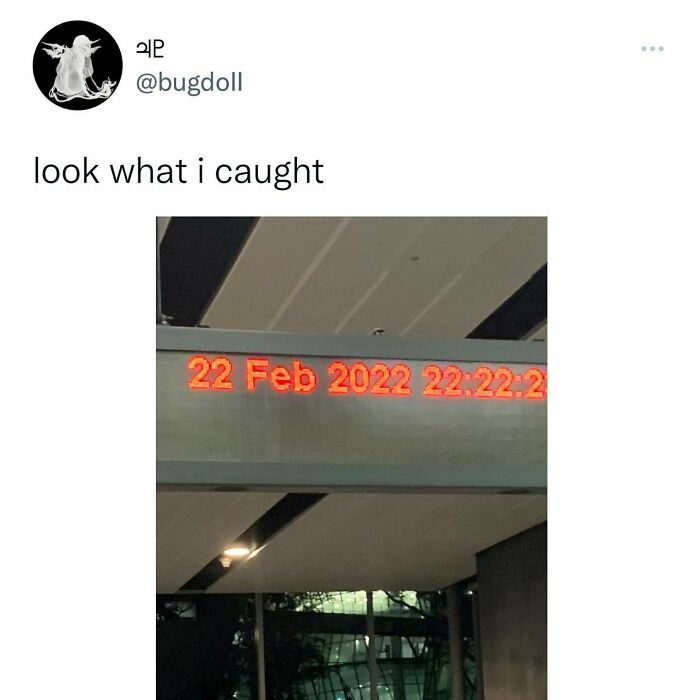 Put This In The @themuseumofmodernart. Follow @kalesalad For Memes!!!