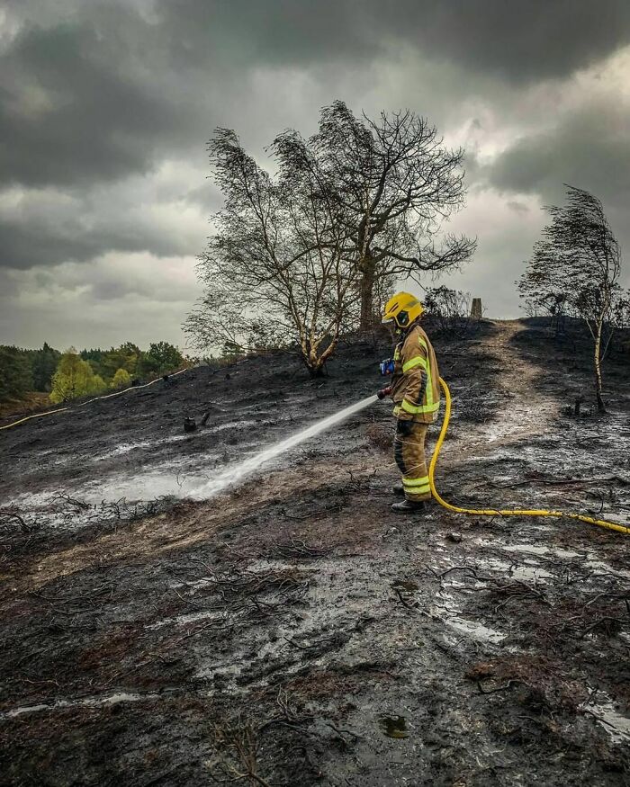 Unseasonal Warm And Dry Weather Expected This Week, Has Led To An Amber Wildfire Alert Being Issued For The Dorset & Wiltshire Fire And Rescue Service Area