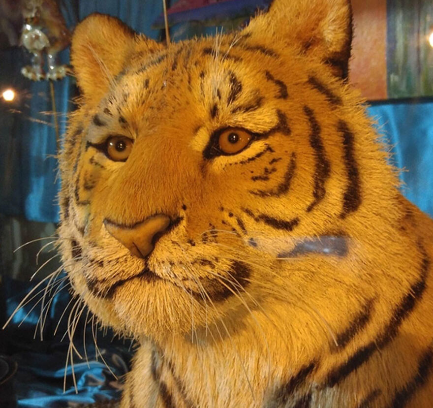 Creepy Photos Ever Found!