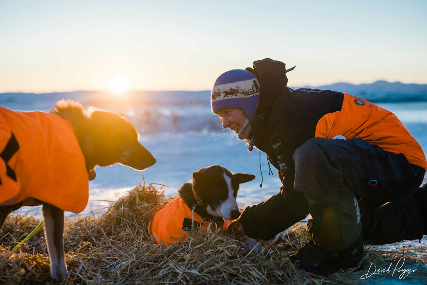 Cute Pictures Of This Year's Iditarod (15 Pics)