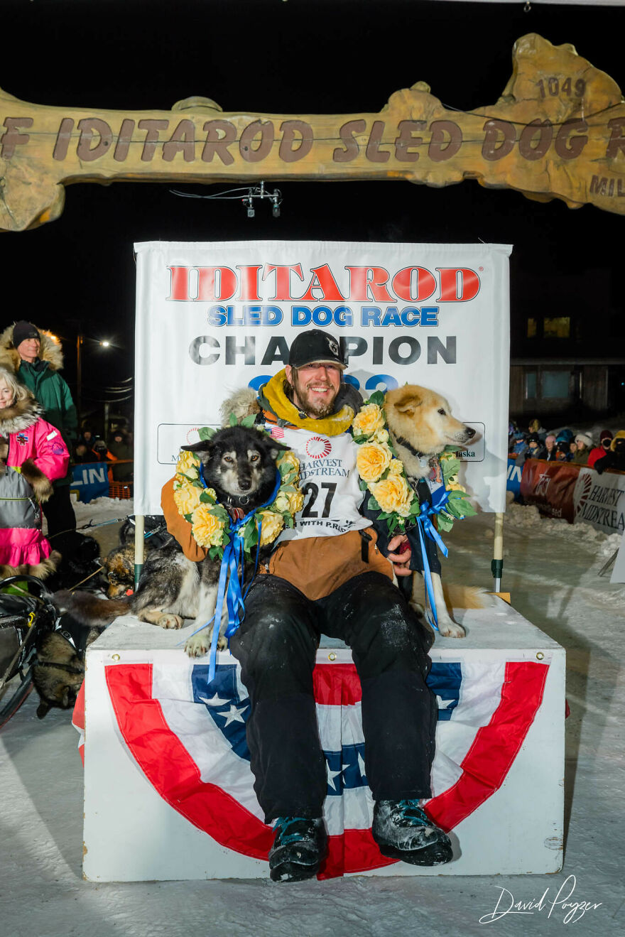 Cute Pictures Of This Year's Iditarod (15 Pics)