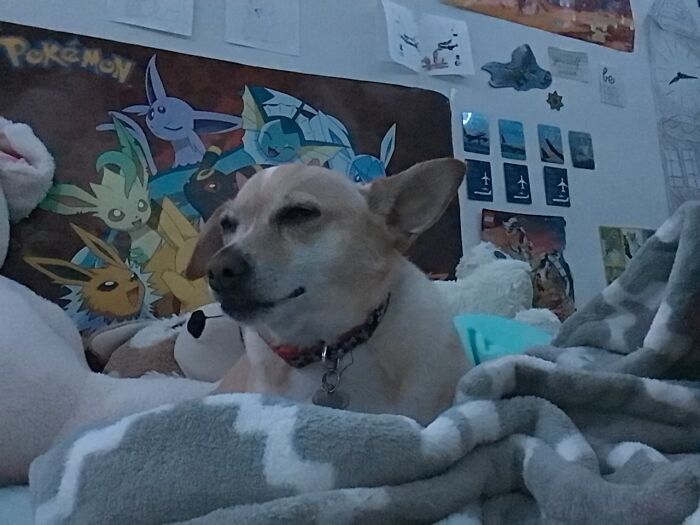 He Sleepy, I Woke Him Up 