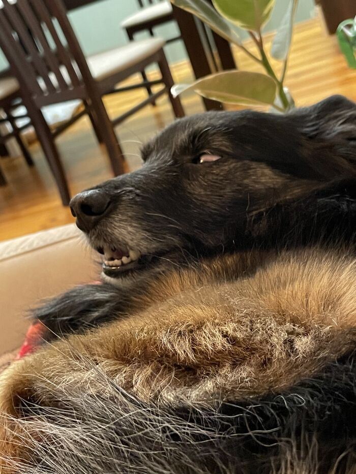 This Is How My Little Girl Happened To Fall Asleep. Cute, Isn’t She?