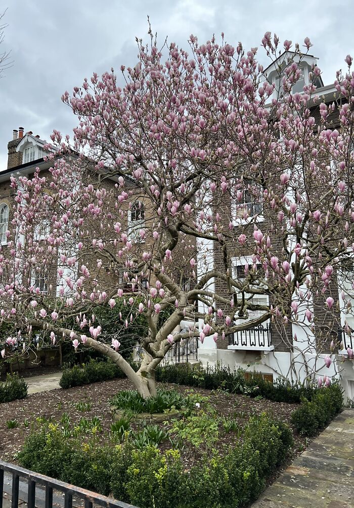 Spring In London Is Woderful