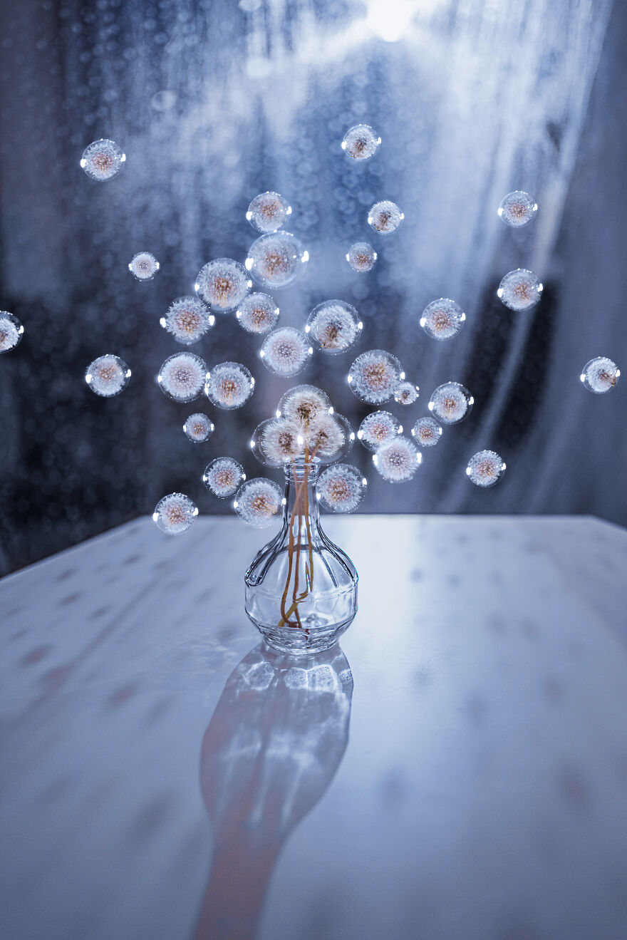 Dandelions And Bubbles Like Dreams In Lockdown
