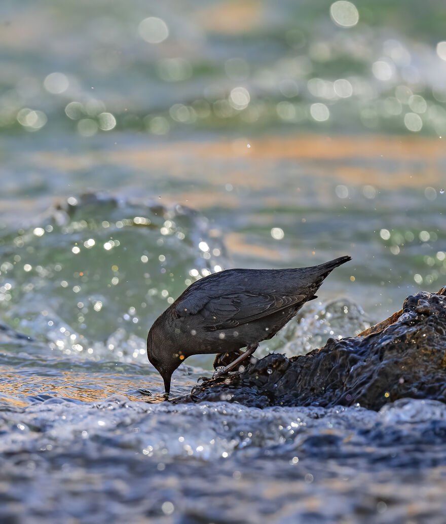 Think She's Found Something Yummy?
