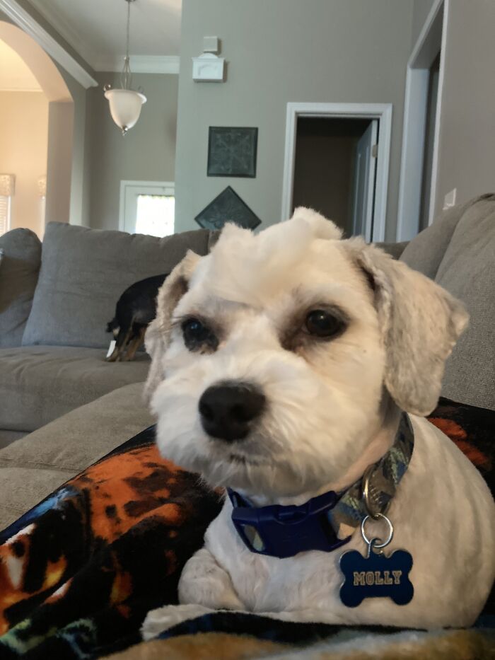 #mohawk!!! (Lil' Sis In The Background Too!)