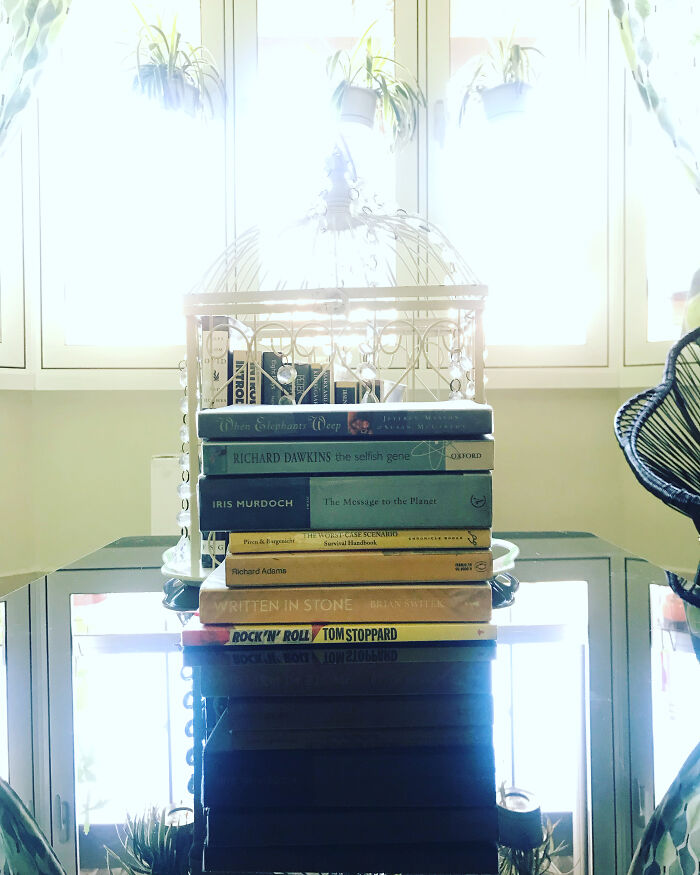 In Solidarity With Ukraine 💙💛🇺🇦💙💛