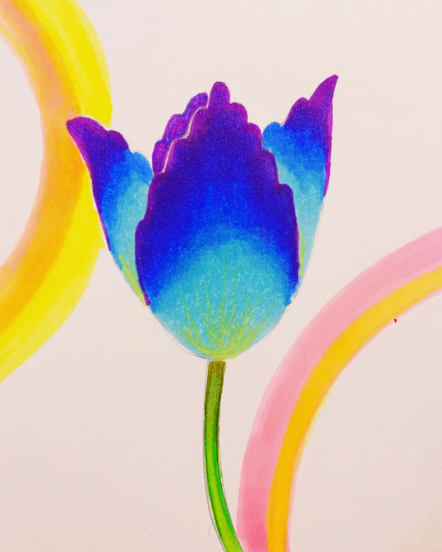 I Drew A Flower Every Day For A Year, And Here Are 40 Of My Best Works