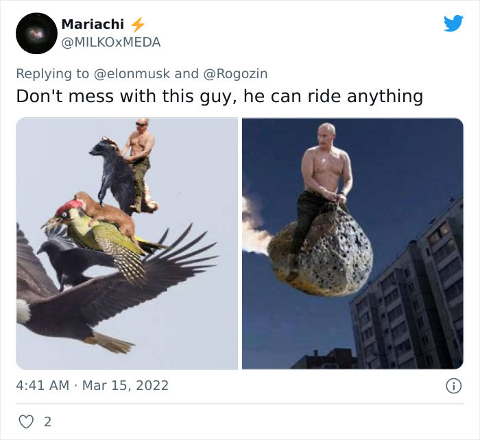 People Online Are Either Loving Or Hating Elon Musk Right Now For Inviting Putin To A Duel To Win Ukraine And Posting Memes