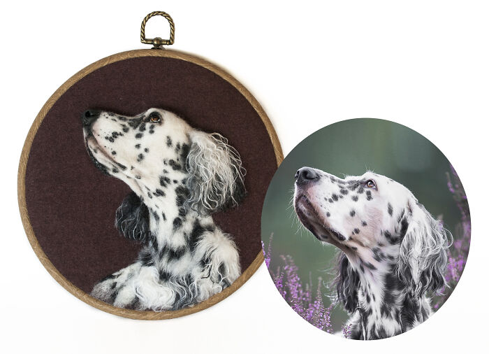 These Realistic Animal Faces Delight Some, Horrify Others. But These Portraits Do Not Leave Anyone Indifferent