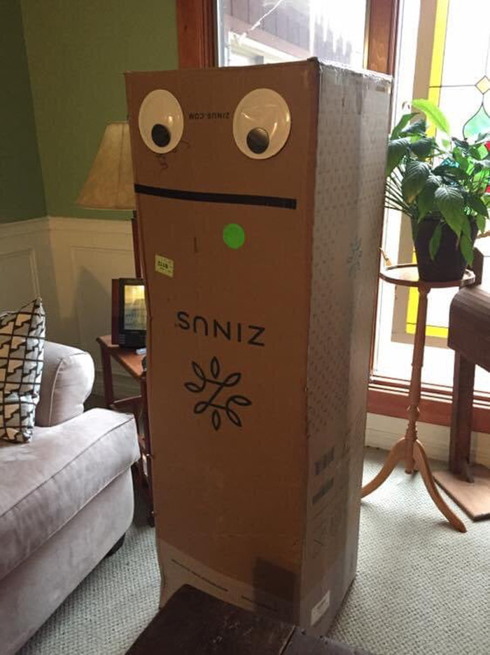Cardboard box with large wiggle eyes added, making the random object funnier in the eyebombing online community.