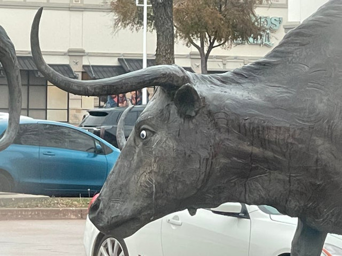 Large metal bull sculpture with wiggle eyes added, making the random object more playful and engaging.