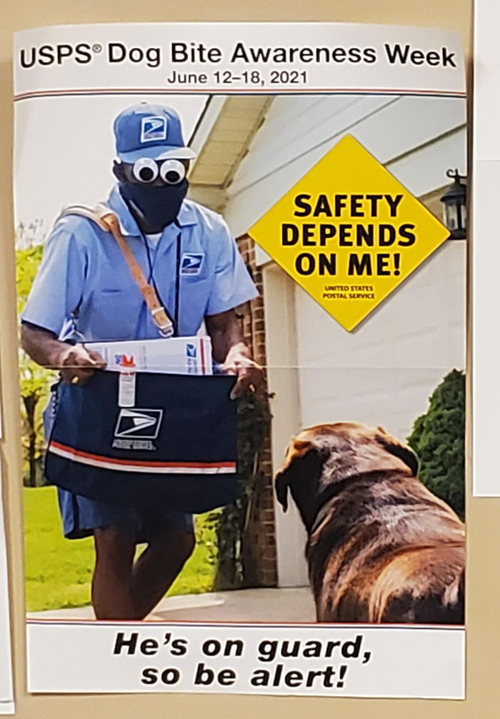 USPS mail carrier with large wiggle eyes delivering mail to a dog, highlighting creative eyebombing with wiggle eyes.