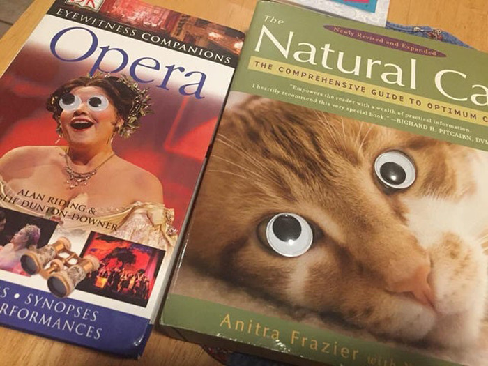Two books with googly eyes added, enhancing random objects as shared in eyebombing online community.