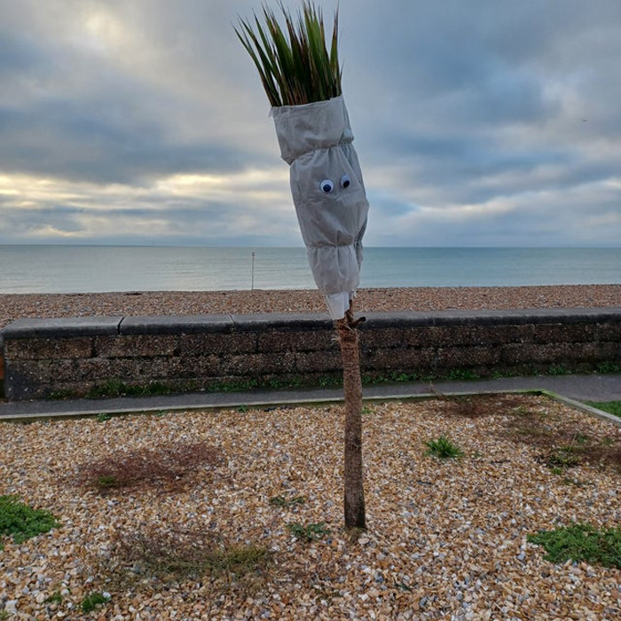 A small wrapped tree with wiggle eyes on a pebble beach, creatively enhanced by eyebombing community members.