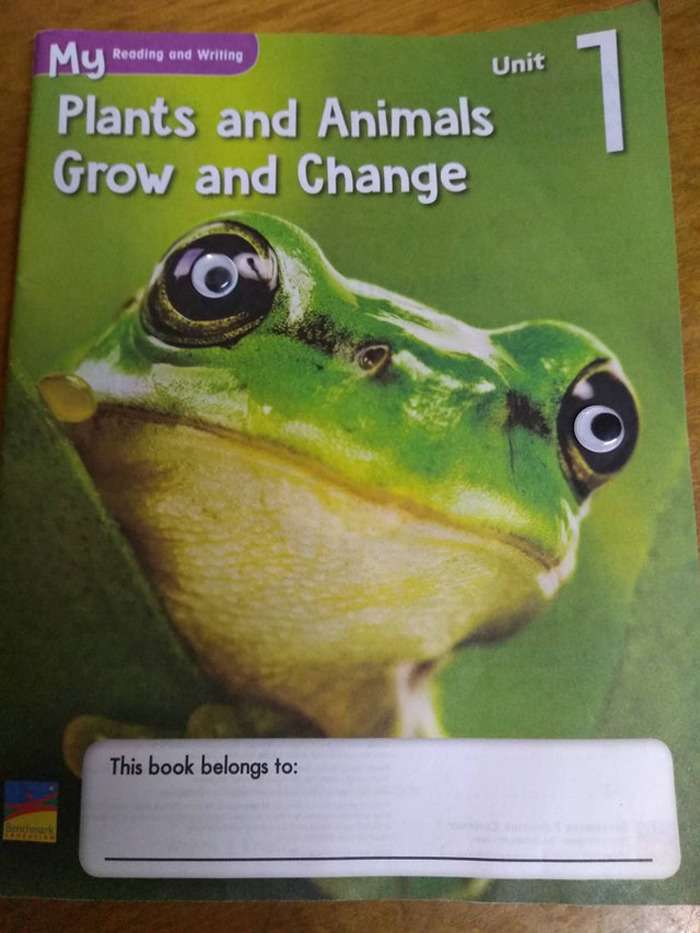 Green frog on a book cover with wiggle eyes added to photograph as a fun example of eyebombing enhancing objects.