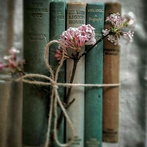 gabrielle-rayna avatar