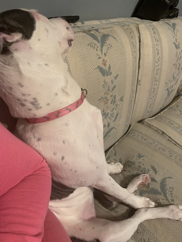 Dozed Off During Movie Night