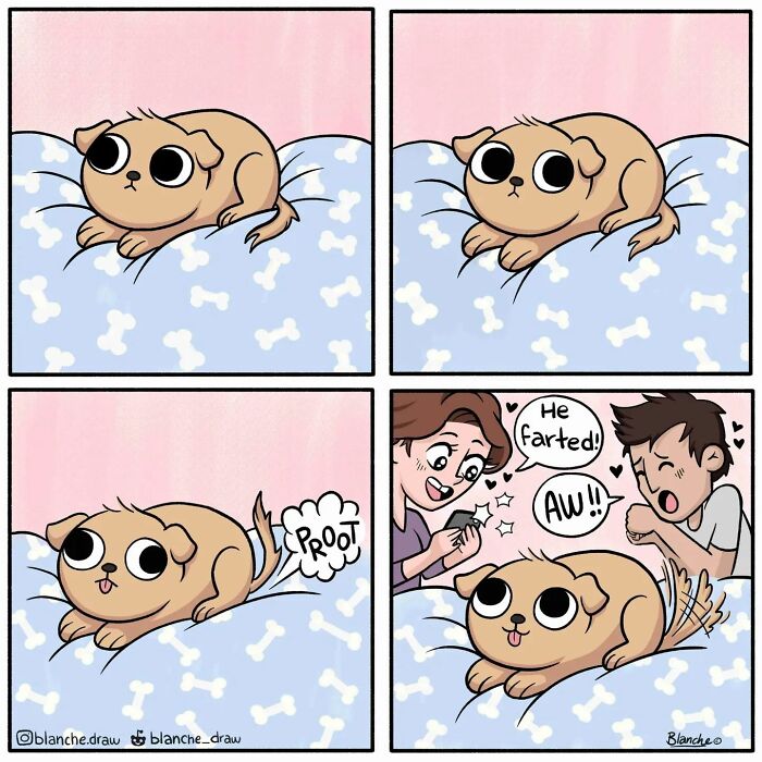 Funny And Stupid Comics That Will Make You Laugh