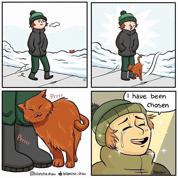 Funny And Stupid Comics That Will Make You Laugh