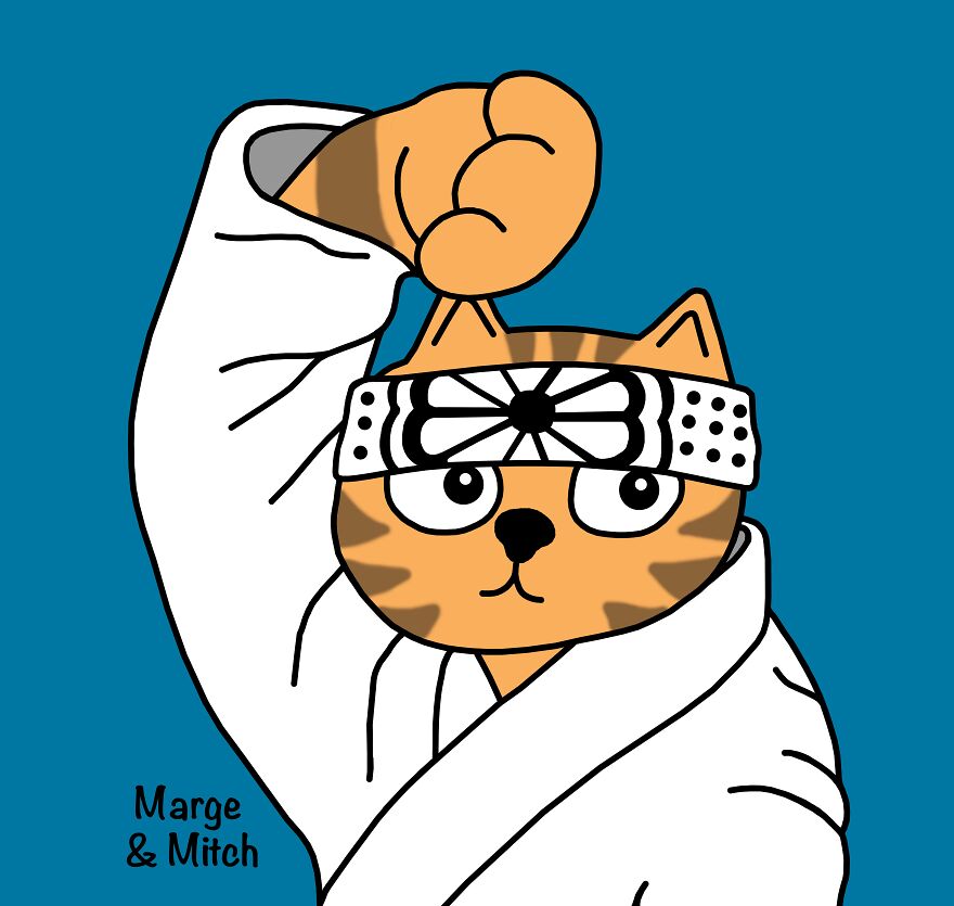 Karate Cat