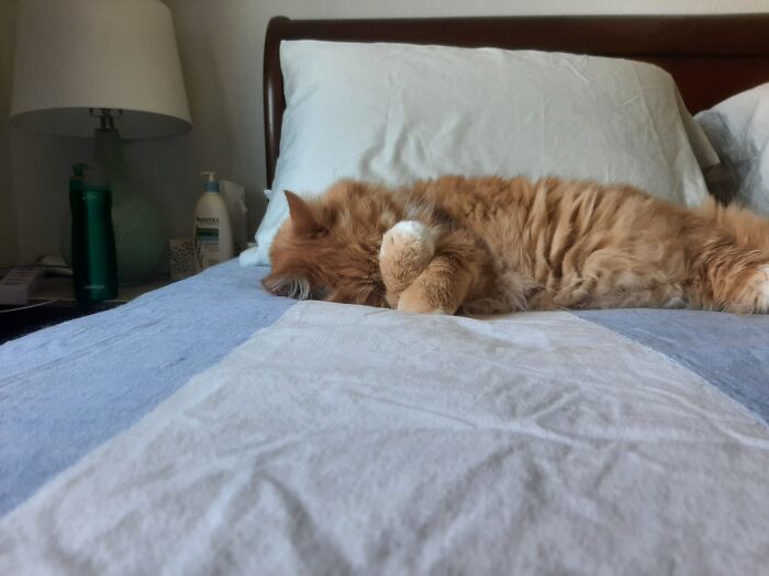 I Should Not Have Told Him About Current Events.