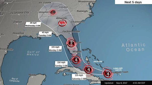 Jill Horstmann Dedicated Her Life To The Causes Of Squirrels