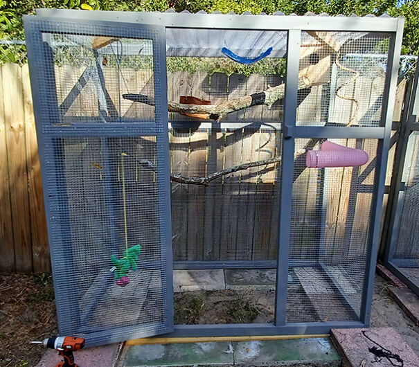 Jill Horstmann Dedicated Her Life To The Causes Of Squirrels