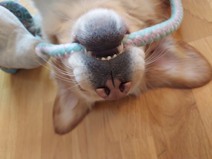 She Stayed Like This For 10 Mins Straight