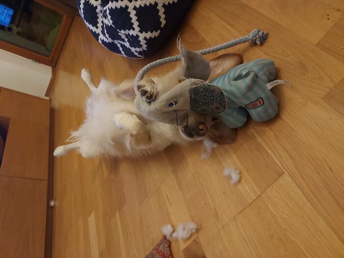 Kira And Her Blue Elephant