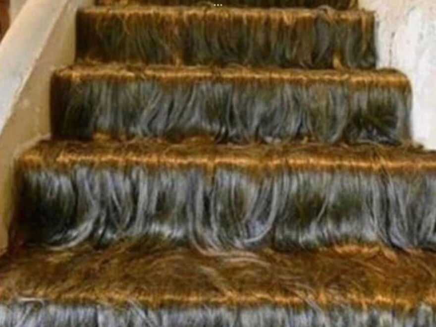 I Found 24 Of The Funniest And Weird Cursed Images