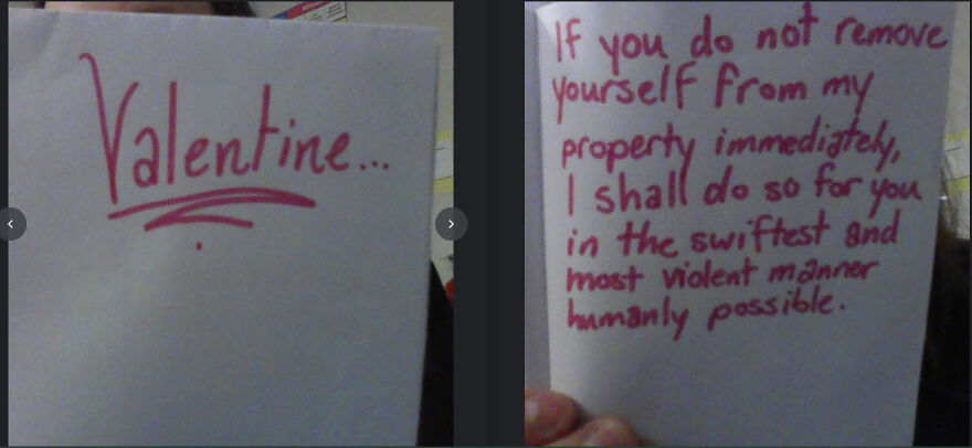 I Make Brutally Honest Greeting Cards I Make Brutally Honest Greeting Cards