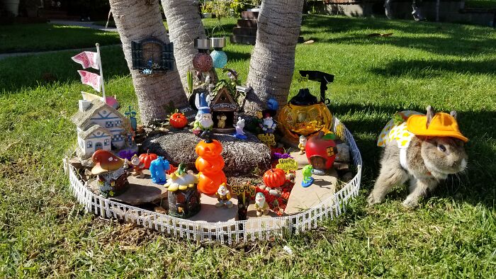 I Created A Mini Gnome Garden With Monthly Themes For My Bunny