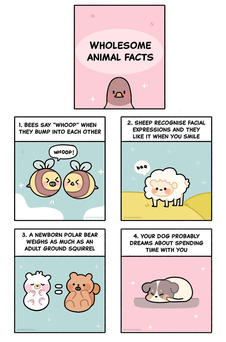 I Draw Comics That People Relate To (Part 4)