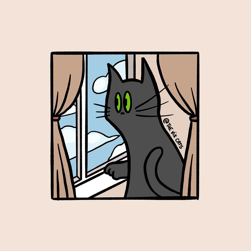 I Began Drawing Illustrations Of My Two Lovely Cats After I Got A Second Cat, Here's How It Went (21 Pics)