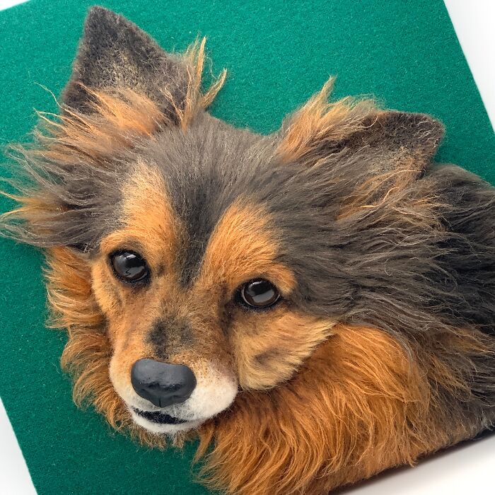 These Realistic Animal Faces Delight Some, Horrify Others. But These Portraits Do Not Leave Anyone Indifferent