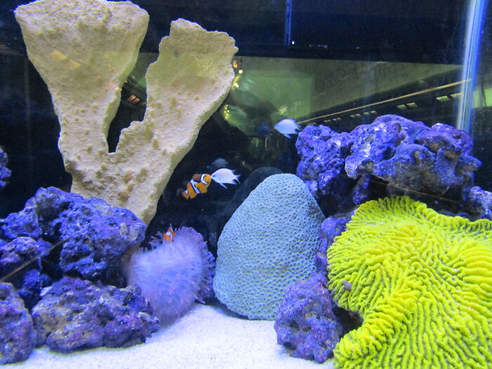 Embrace Our Differences