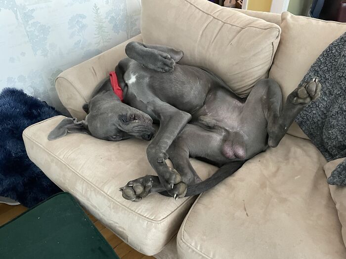 Sounds Asleep And Snoring To Beat The Band.