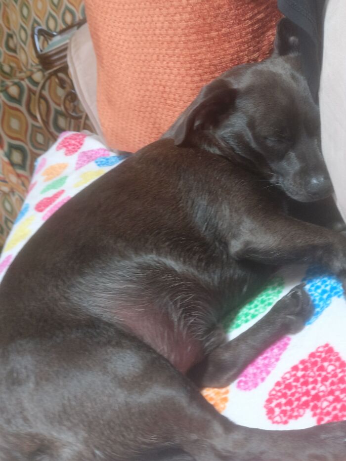 Sherlock Likes His Blankets