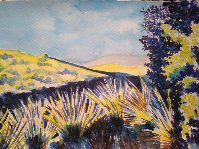 The Sun On The Sparto Plants. Watercolors