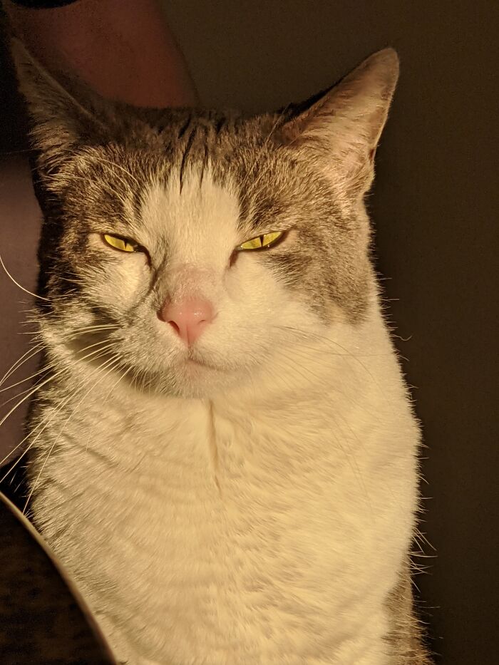 Do You Feel Lucky, Punk? Well, Do You?