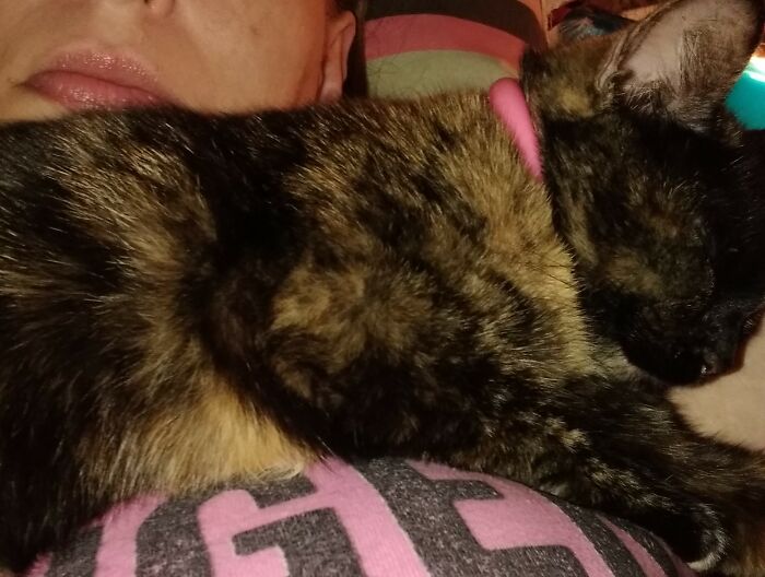 And The Boss Of The House Jing-Jings