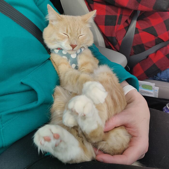Naptime On The Alcan (Alaska-Canada Highway)