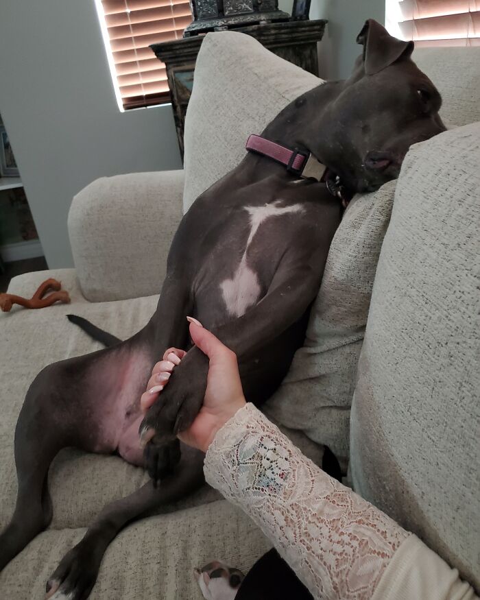 Fiona's Just A Tiny Bit Melodramatic